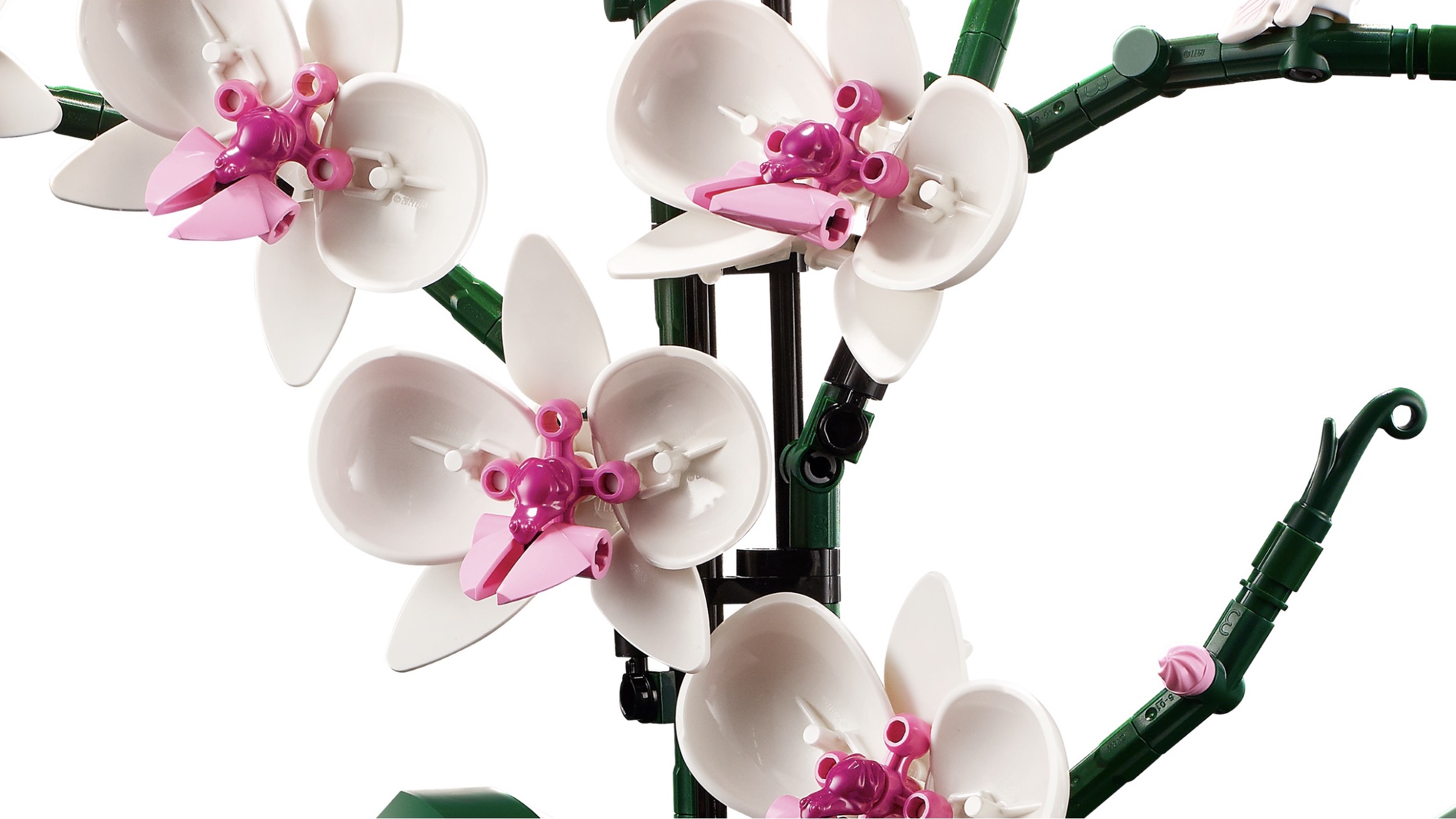 LEGO Creator Expert Botanical Collection Orchid, Succulents Teaser