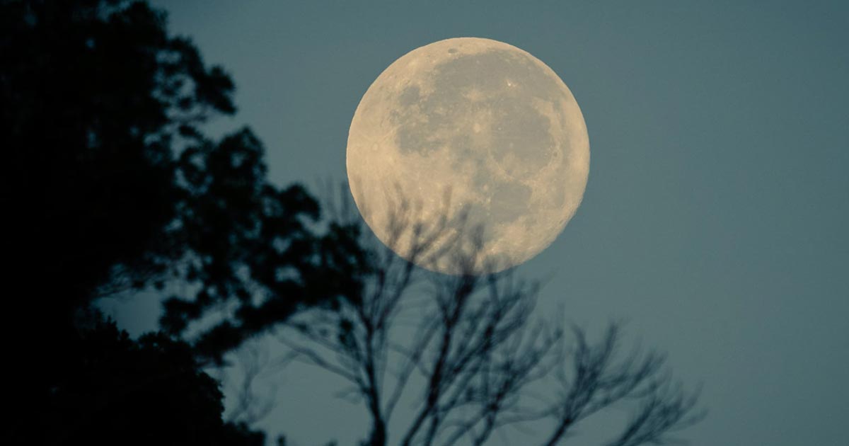 Rare blue moon set to rise this Halloween • PhilSTAR Life